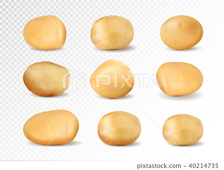 Brown earth potato isolated over the transparent background, set of different images. Realistic 40214735