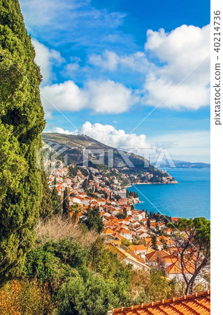 View of the harbor and the old town of Dubrovnik View of the harbor and the old town of Dubrovnik 40214736