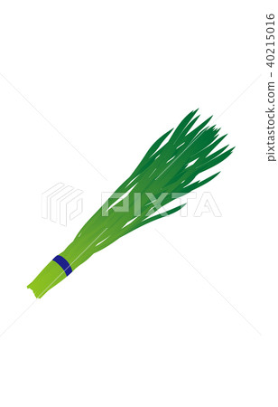 蔬菜韭菜 40215016