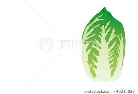 Vegetables 40215026