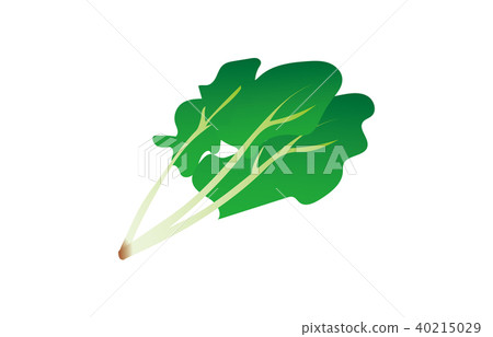 蔬菜菠菜 蔬菜菠菜 40215029