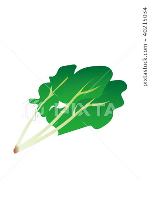 蔬菜菠菜 40215034