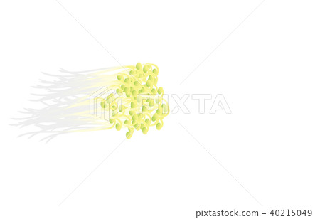 蔬菜豆芽 蔬菜豆芽 40215049