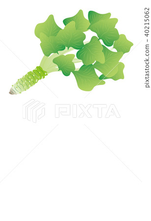 蔬菜芥末 40215062