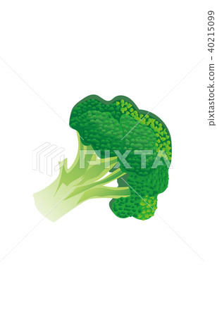 蔬菜西蘭花 蔬菜西蘭花 40215099