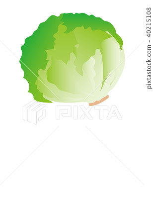 蔬菜生菜 蔬菜生菜 40215108