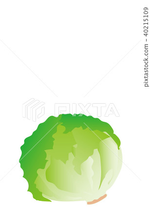 蔬菜生菜 蔬菜生菜 40215109