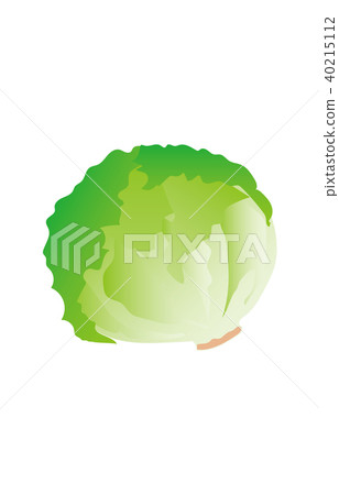 蔬菜生菜 蔬菜生菜 40215112