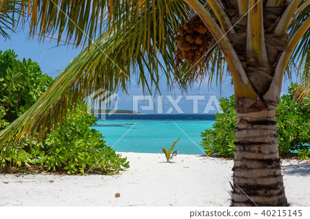 Tropical Maldives Maldives Sea Hawaii Summer Oversea Water Villas Wedding Sandy Beach Tropical Maldives Maldives Sea Hawaii Summer Oversea Water Villas Wedding Sandy Beach 40215145