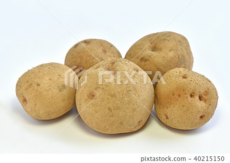 Potato (Kita Akari of Yotei-san) Potato (Kita Akari of Yotei-san) 40215150