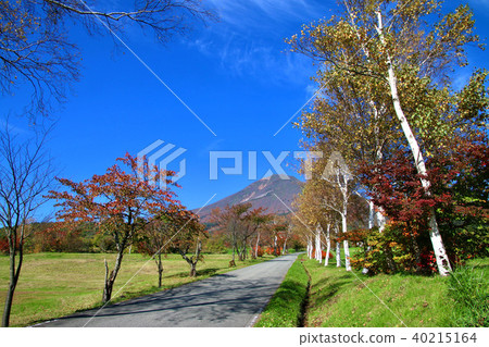 秋天的城鎮管理牧場(豬苗代町) 秋天的城鎮管理牧場(豬苗代町) 40215164