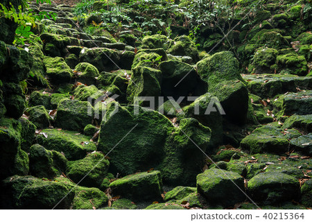Komamon風洞，富士山腳下，石階 40215364