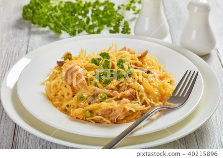 Tetrazzini - pasta, cream sauce, chicken, cheese 40215896