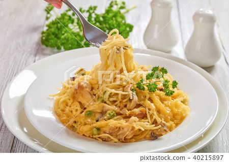 Tetrazzini - pasta, cream sauce, chicken, cheese 40215897