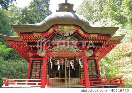 Hanazono神社崇拜大廳和杜鵑花開花北茨城市 Hanazono神社崇拜大廳和杜鵑花開花北茨城市 40216760