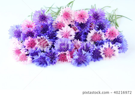 Yakkermuthau 40216972