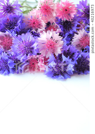 Yakkermuthau Yakkermuthau 40216973