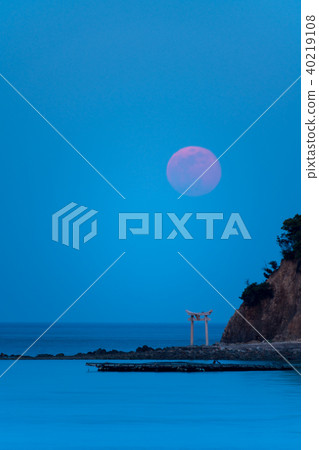 景觀與海的鳥居和小月 40219108