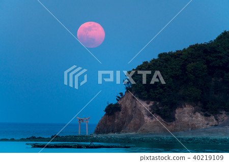 景觀與海的鳥居和小月 40219109