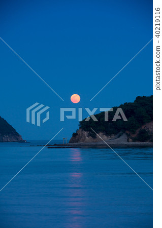 與海torii和滿月的夜視圖 40219116