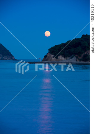與海torii和滿月的夜視圖 照片素材 圖片 圖庫