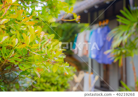 Laundry under the house 40219268