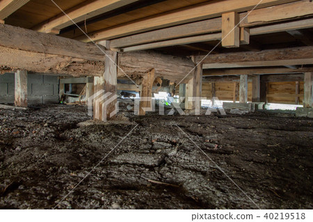 在一所老房子的地板下 在一所老房子的地板下 40219518