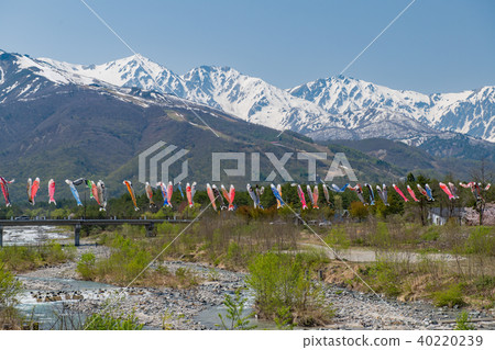 Hakuba Miyama and carp streamers 40220239