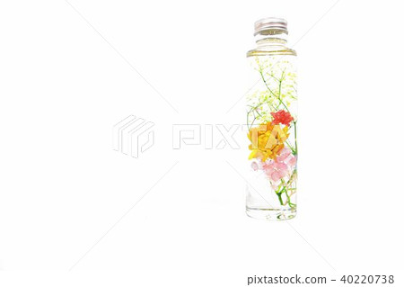 植物標本室 植物標本室 40220738