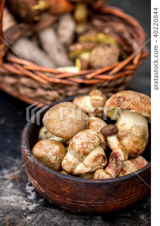 Fresh forest mushrooms in a bowl 40220844