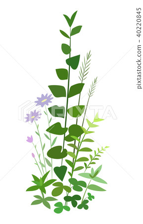 Field grass and flowers. Field grass and flowers. 40220845
