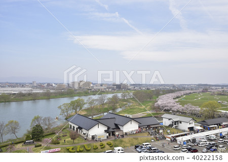 櫻花樹2018年在展覽區 櫻花樹2018年在展覽區 40222158