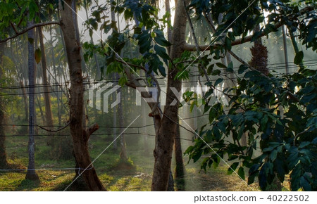 Rural thai lifestyle 40222502