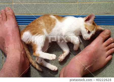 Rural lifestyle in Thailand 40222628