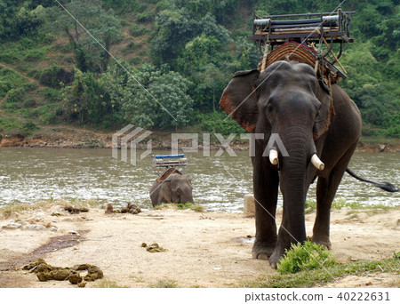 Rural lifestyle in Thailand 40222631