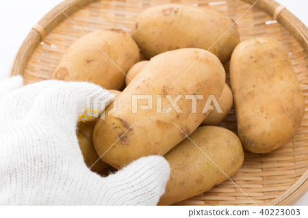 Potatoes 40223003