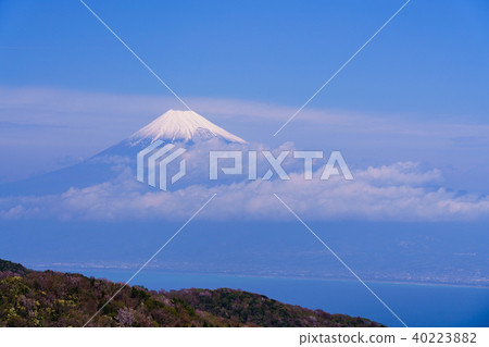 (Shizuoka Prefecture) Mt. Fuji seen from Mt. (Shizuoka Prefecture) Mt. Fuji seen from Mt. 40223882