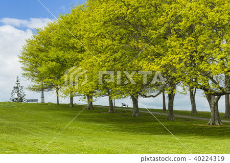 新西蘭奧克蘭Stocked Hill 新西蘭奧克蘭Stocked Hill 40224319