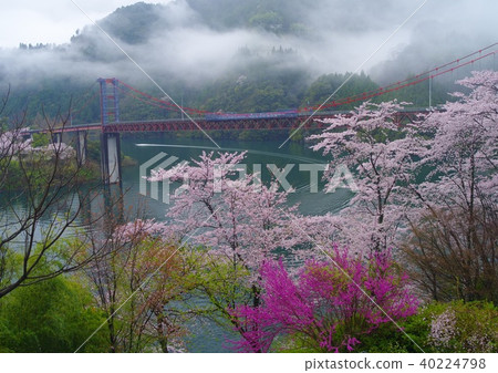 Owata水壩在春天 40224798