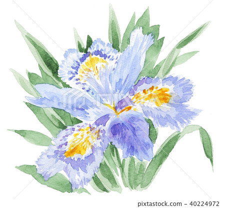 illustration 數字動畫 醫療插圖 40224972