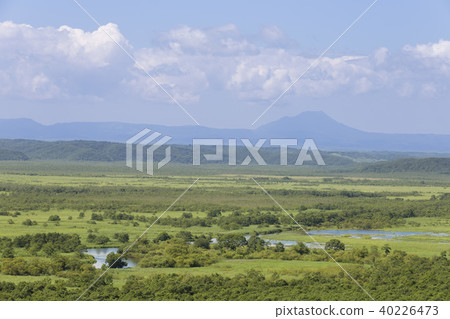 Hokkaido · Kushiro Wetland (From Hosooka Observation Deck) 40226473
