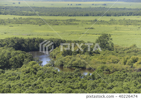 Hokkaido · Kushiro Wetland (From Hosooka Observation Deck) 40226474