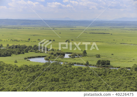 Hokkaido · Kushiro Wetland (From Hosooka Observation Deck) 40226475