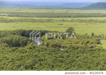 Hokkaido · Kushiro Wetland (From Hosooka Observation Deck) 40226476