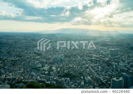 [Kanagawa Prefecture] Urban landscape 40226480