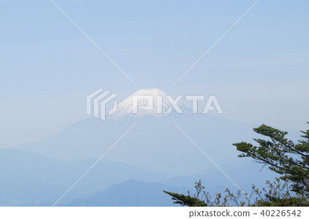 東京都森林10 40226542