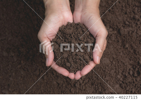 Hand of male holding soil in the hands Hand of male holding soil in the hands 40227115