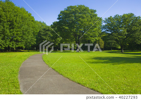 公園路 公園路 40227293