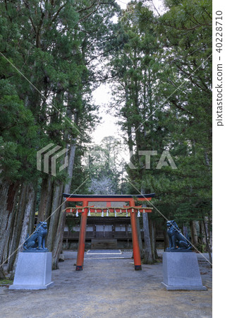 和歌山縣，高野山，金剛寺，Danjo-tan，Sannoin 40228710
