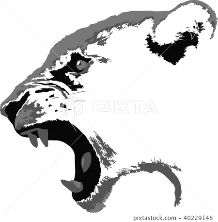 lion head in profil 40229148